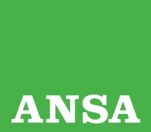 ansa基础教程